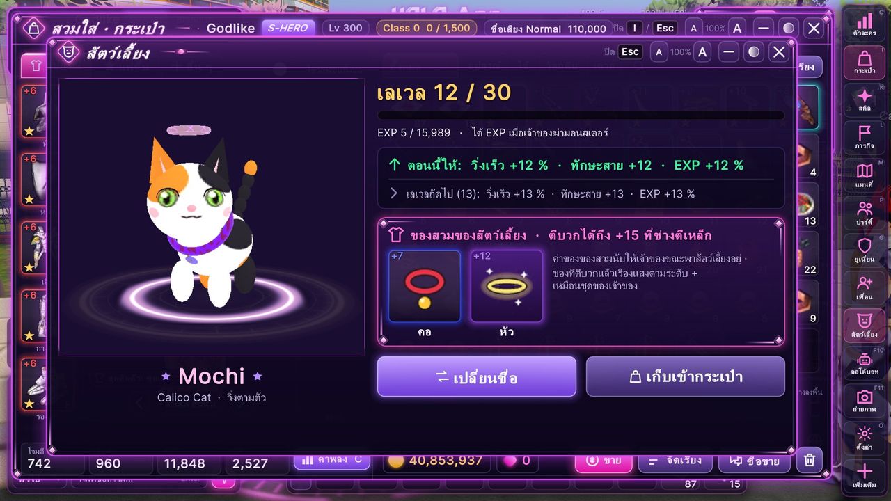 หน้าต่างสัตว์เลี้ยง: เลเวล EXP ของสวม